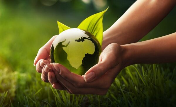 Organic Living Tips for Cleaner Daily Choices